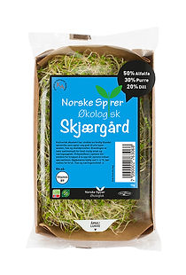 Skjærgård